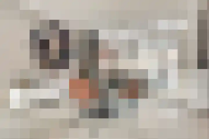 Pieter de Hooghstraat 4 Spijkenisse thumbnail 9