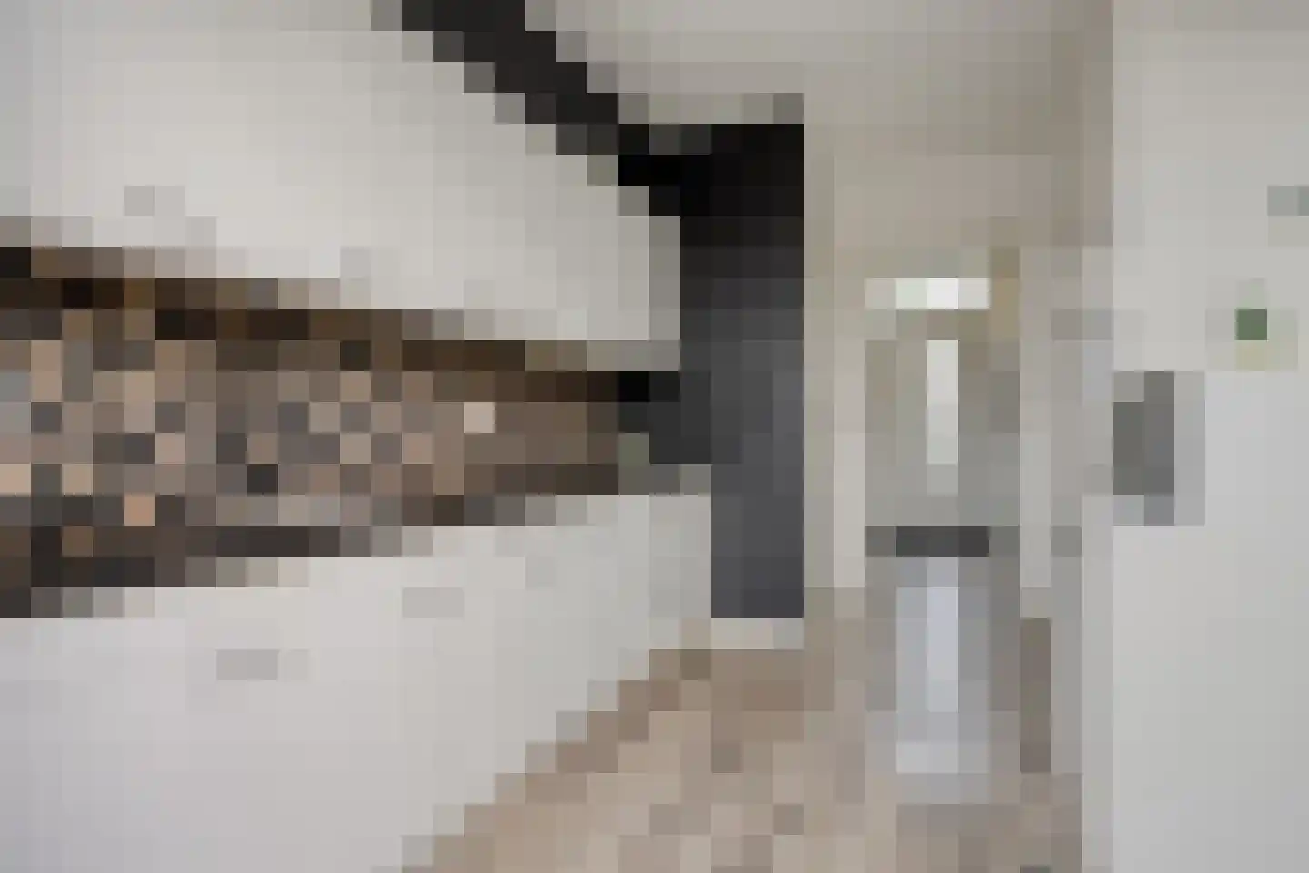 Pieter de Hooghstraat 4 Voorthuizen thumbnail 11