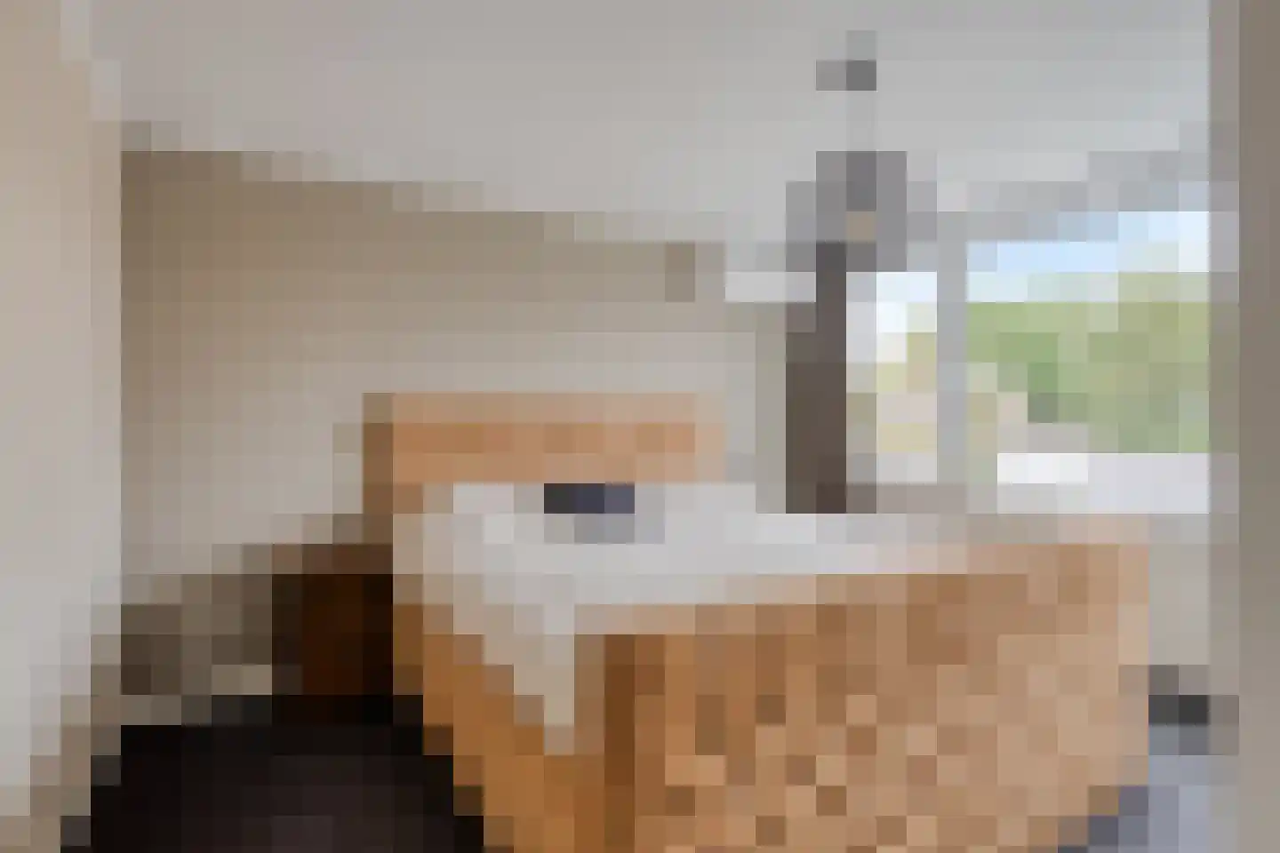 Pieter de Hooghstraat 4 Voorthuizen thumbnail 13