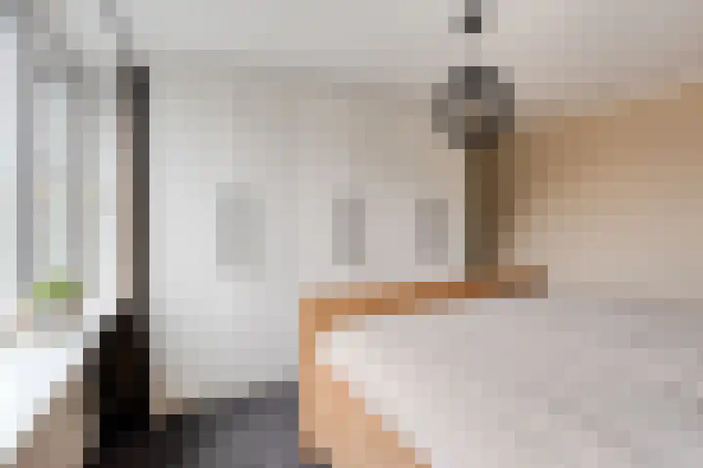 Pieter de Hooghstraat 4 Voorthuizen thumbnail 14