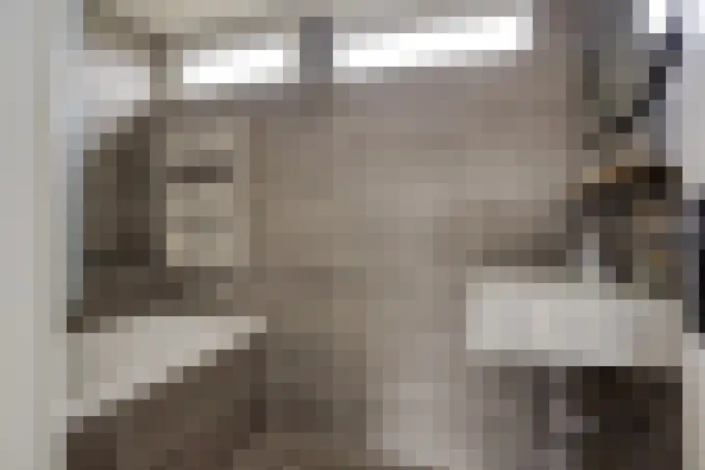 Pieter de Hooghstraat 4 Voorthuizen thumbnail 16