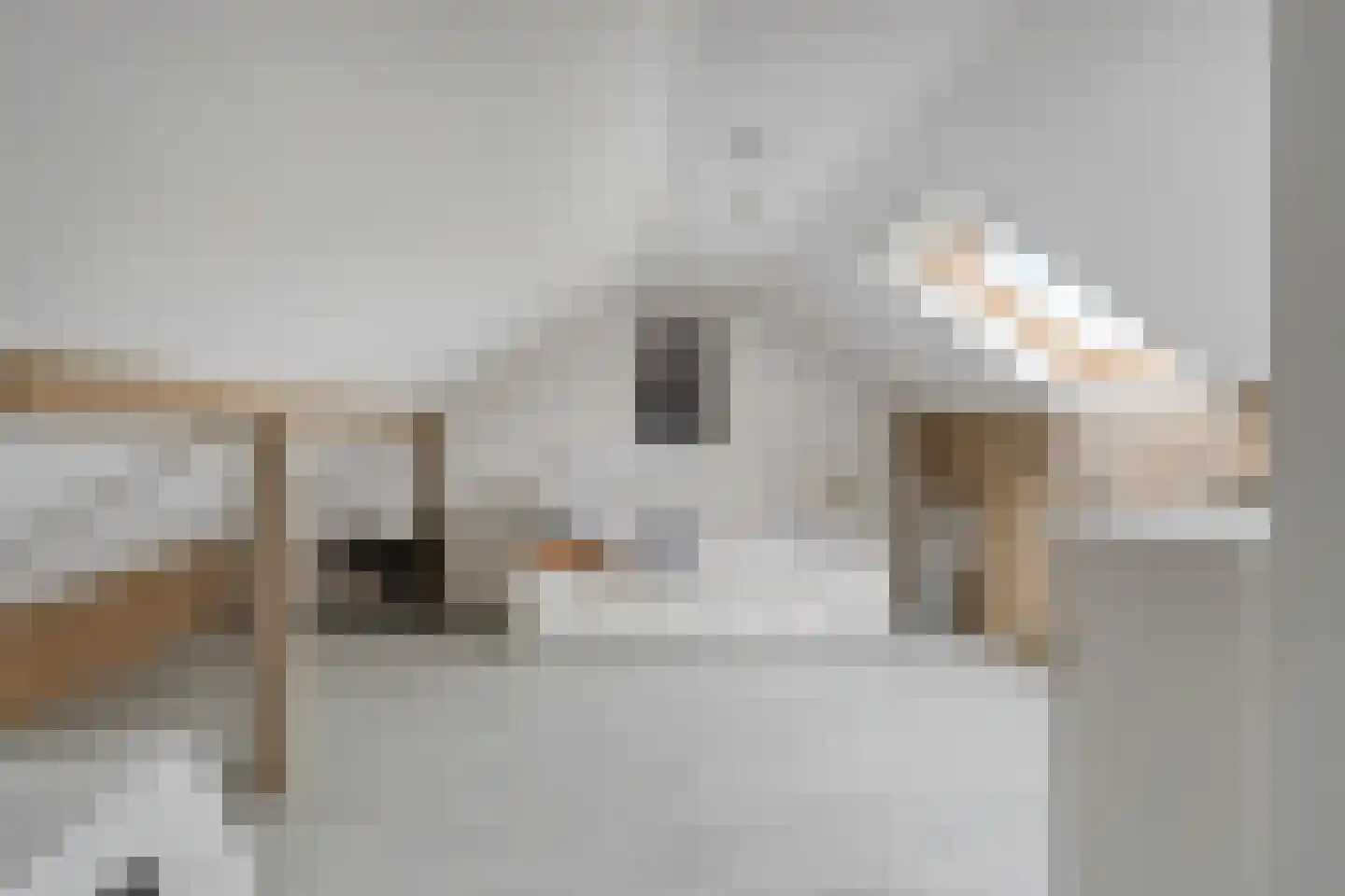 Pieter de Hooghstraat 4 Voorthuizen thumbnail 23