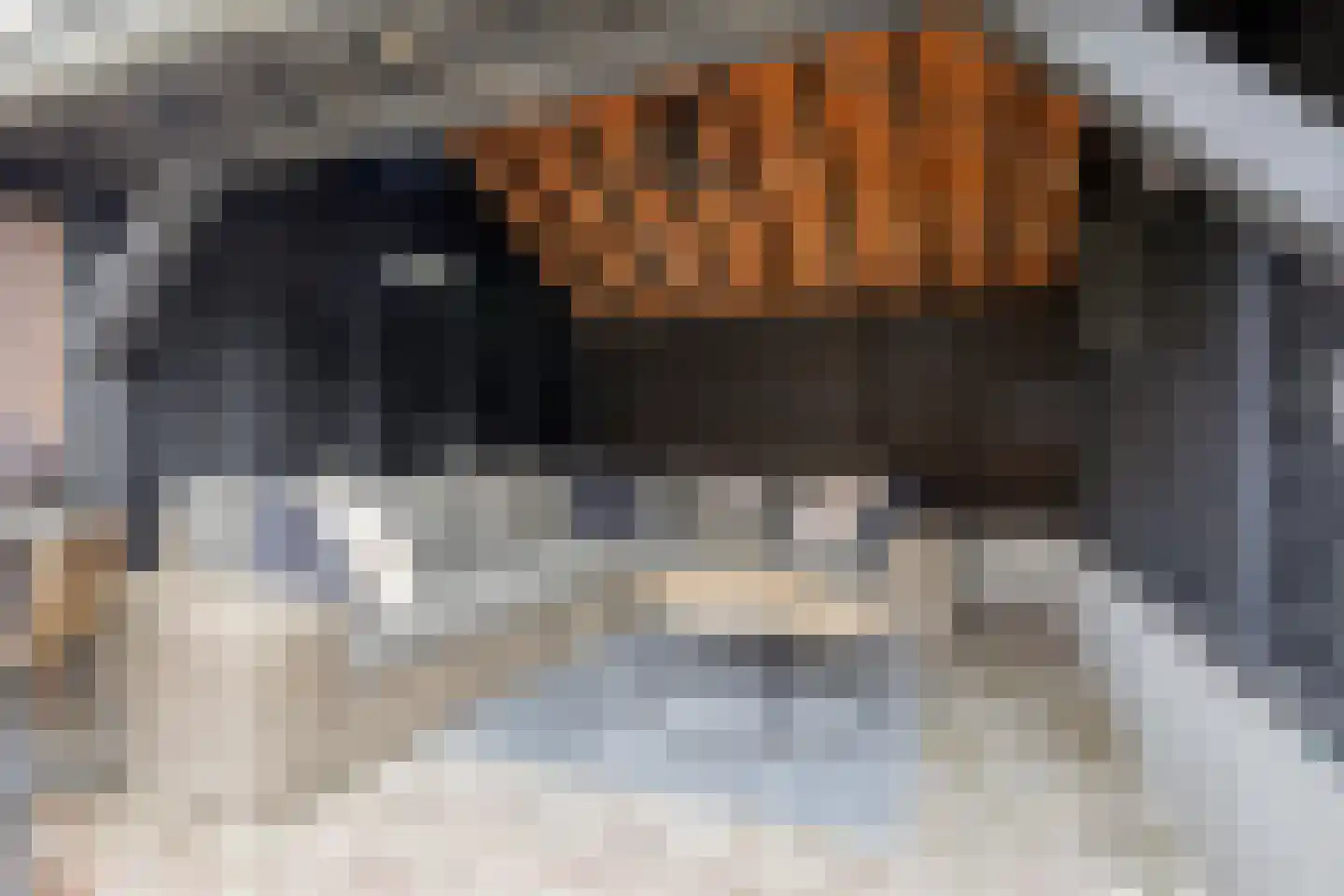 Pieter de Hooghstraat 4 Voorthuizen thumbnail 27