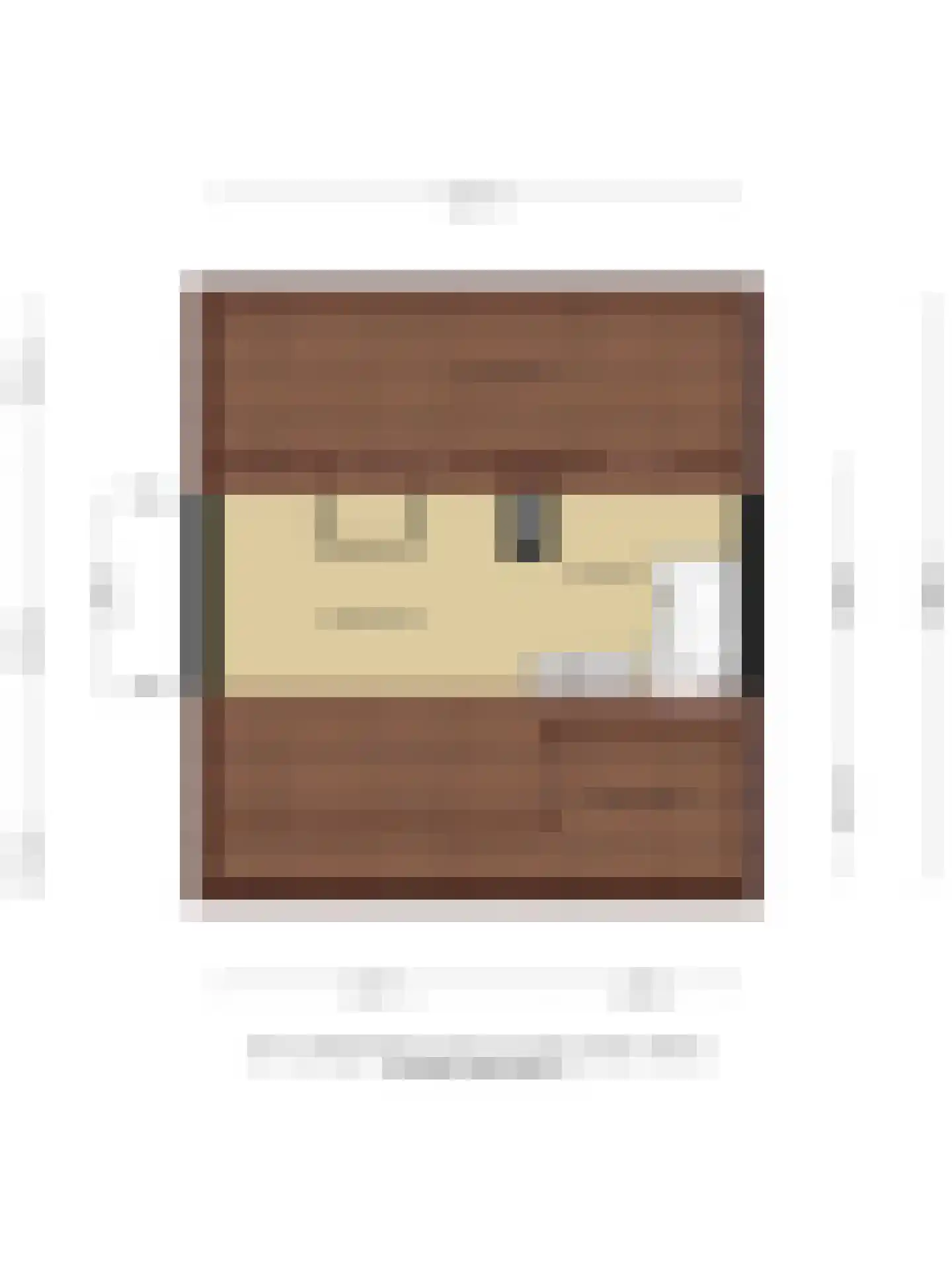 Pieter de Hooghstraat 4 Voorthuizen thumbnail 32