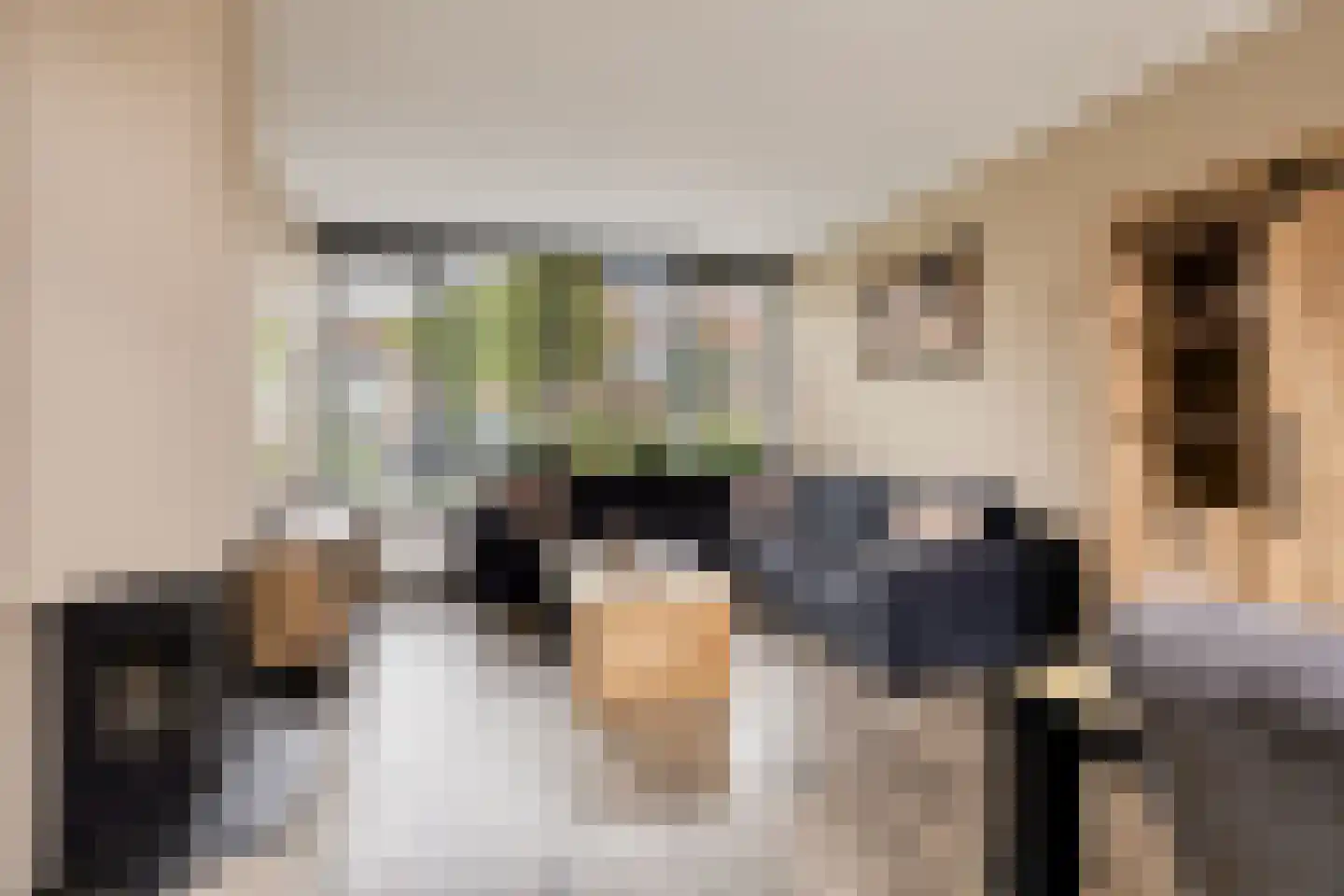 Pieter de Hooghstraat 4 Voorthuizen thumbnail 4