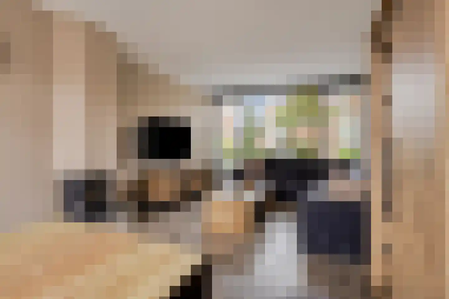 Pieter de Hooghstraat 4 Voorthuizen thumbnail 5