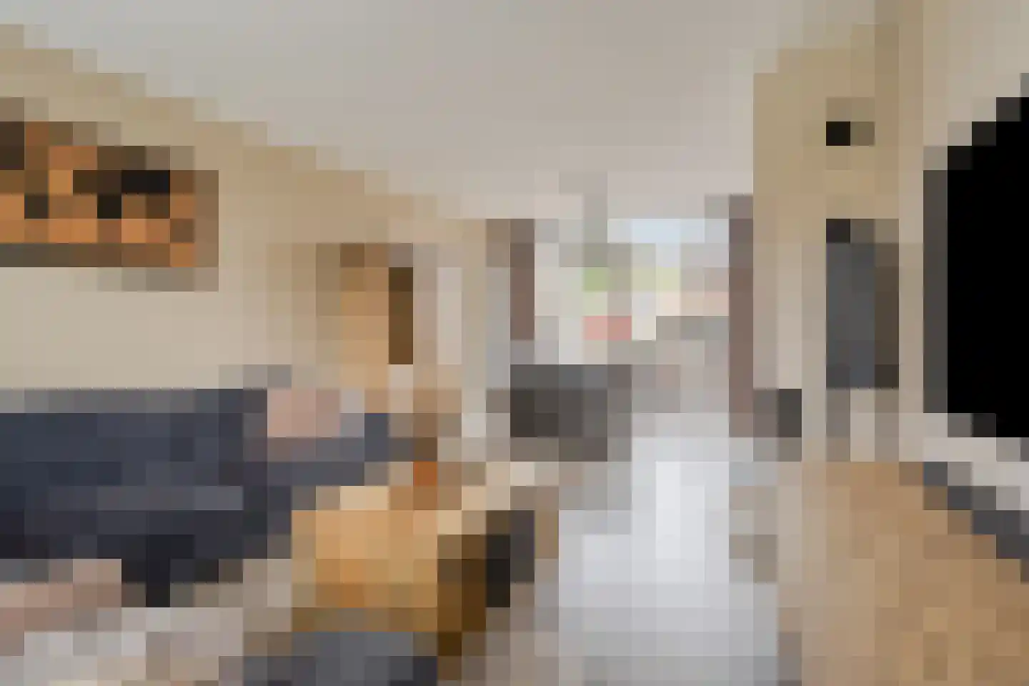 Pieter de Hooghstraat 4 Voorthuizen thumbnail 6