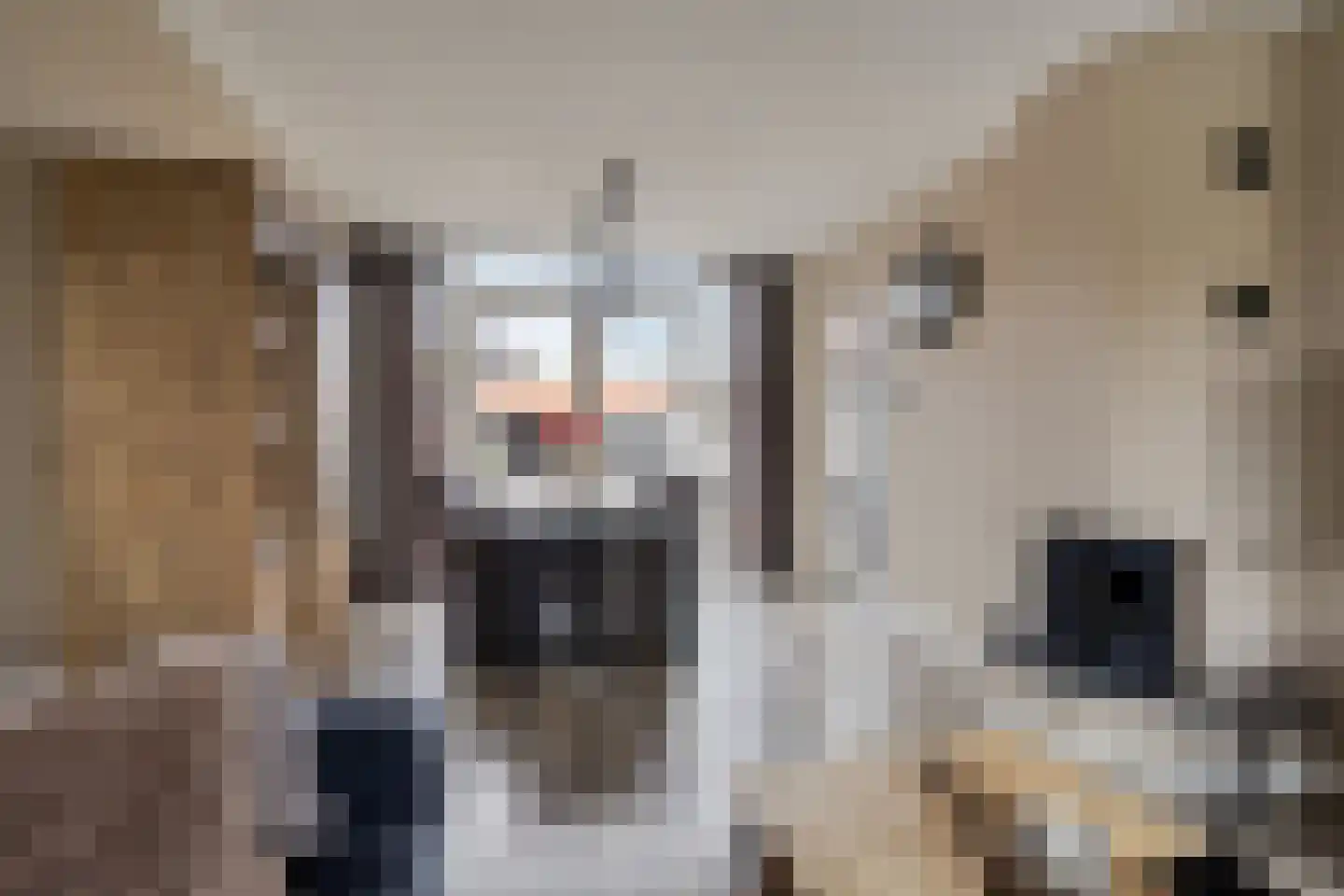 Pieter de Hooghstraat 4 Voorthuizen thumbnail 7