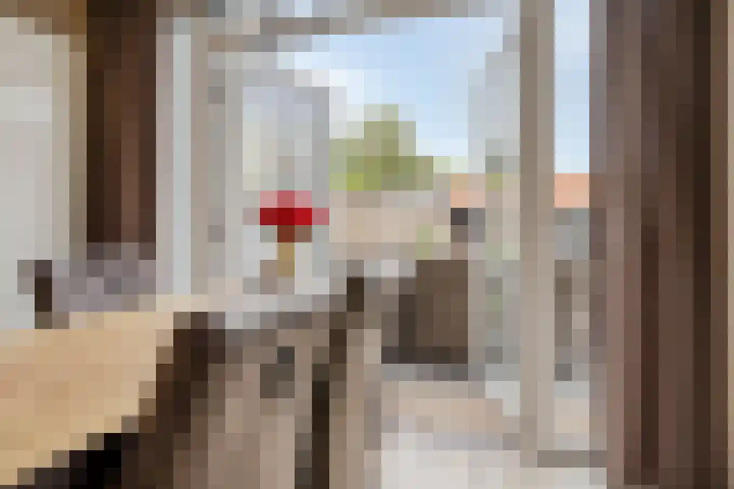 Pieter de Hooghstraat 4 Voorthuizen thumbnail 8