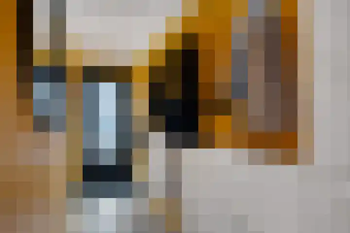 Pieter de Hooghstraat 43 Leeuwarden thumbnail 5