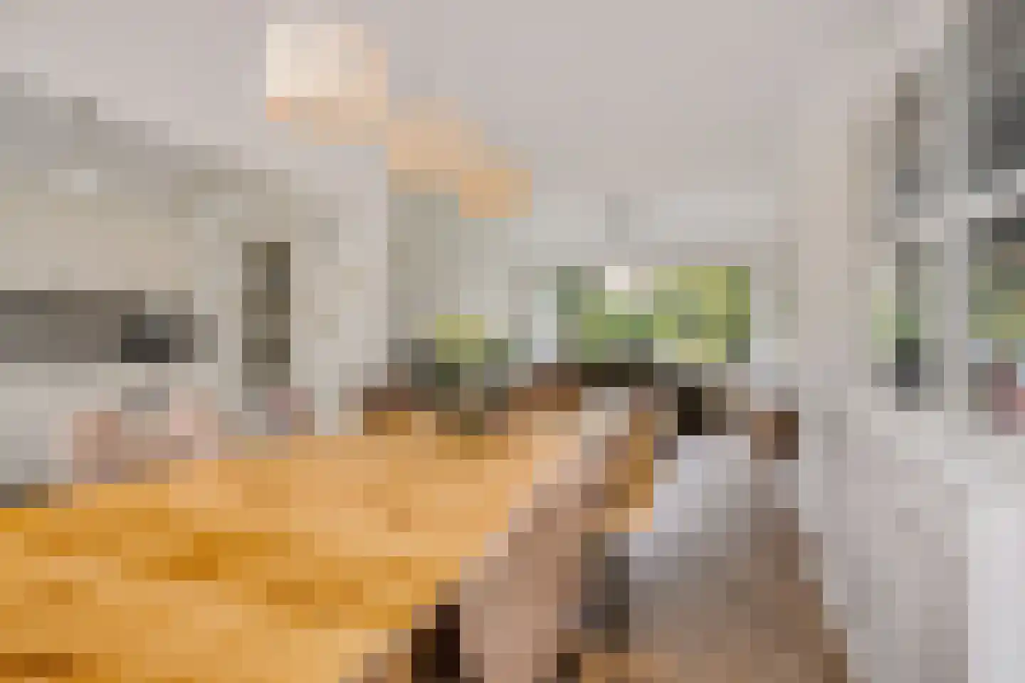 Pieter de Hooghstraat 49 Heerhugowaard thumbnail 11
