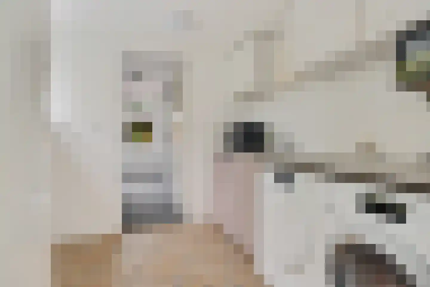 Pieter de Hooghstraat 49 Heerhugowaard thumbnail 18