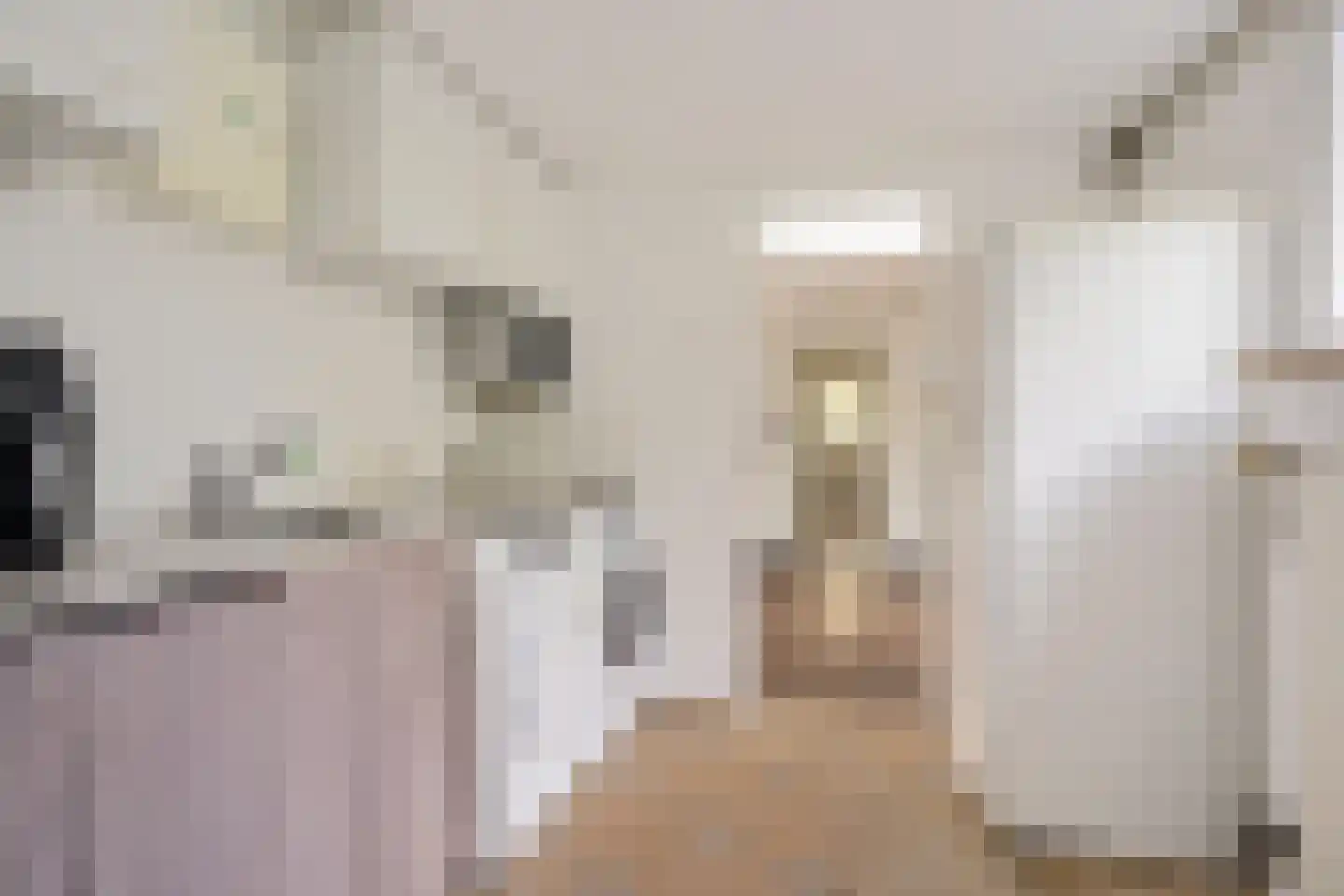 Pieter de Hooghstraat 49 Heerhugowaard thumbnail 20