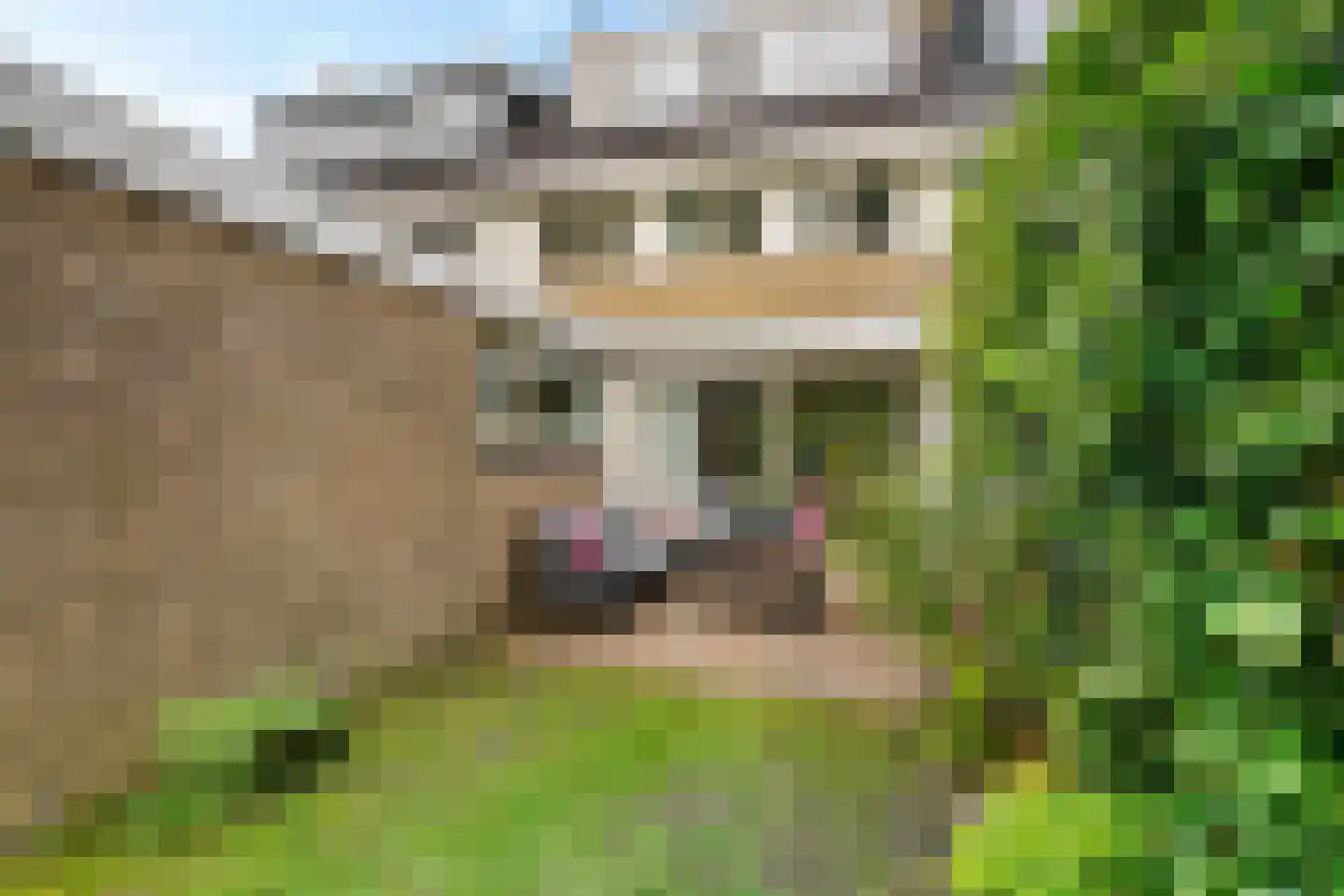 Pieter de Hooghstraat 49 Heerhugowaard thumbnail 39