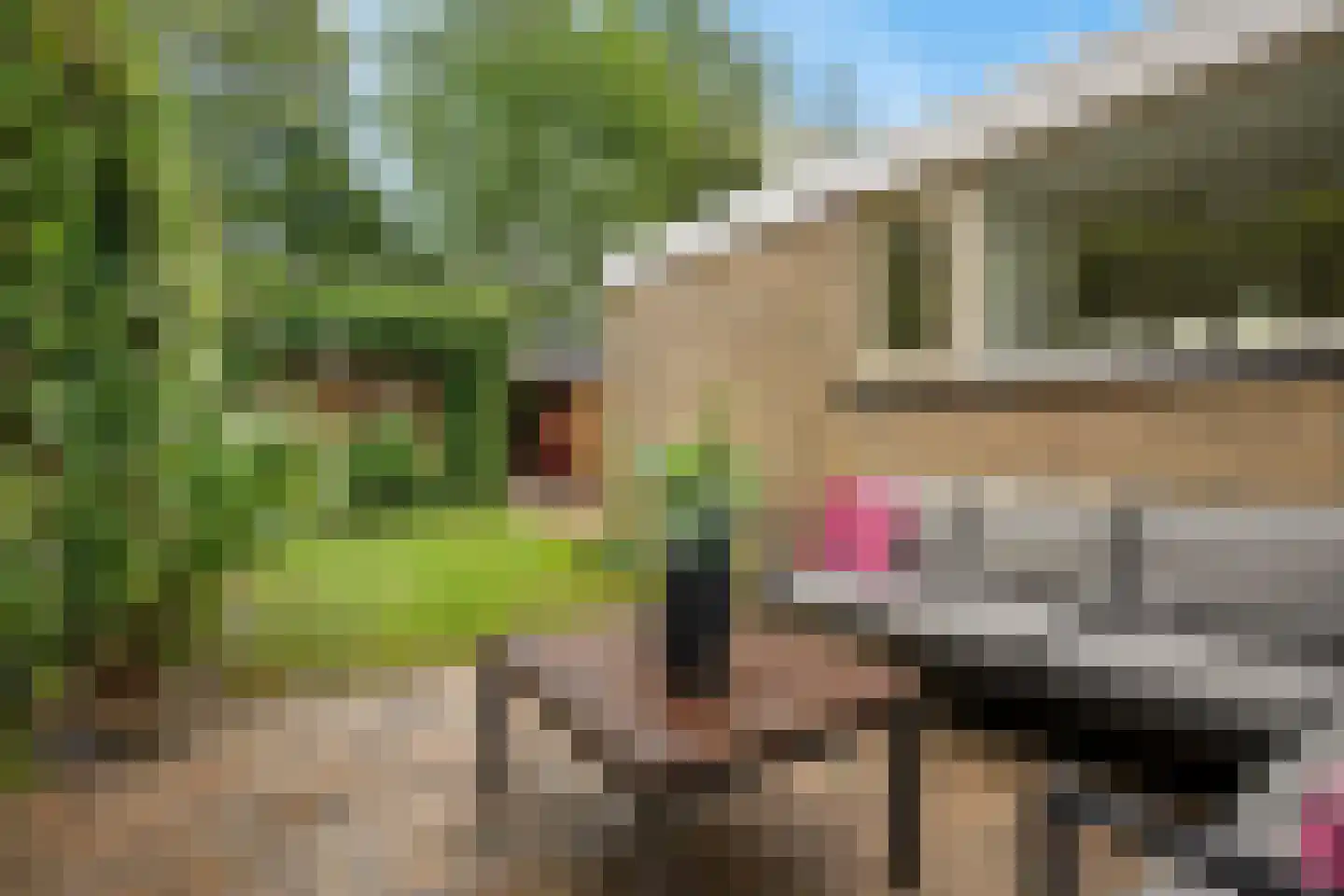 Pieter de Hooghstraat 49 Heerhugowaard thumbnail 40