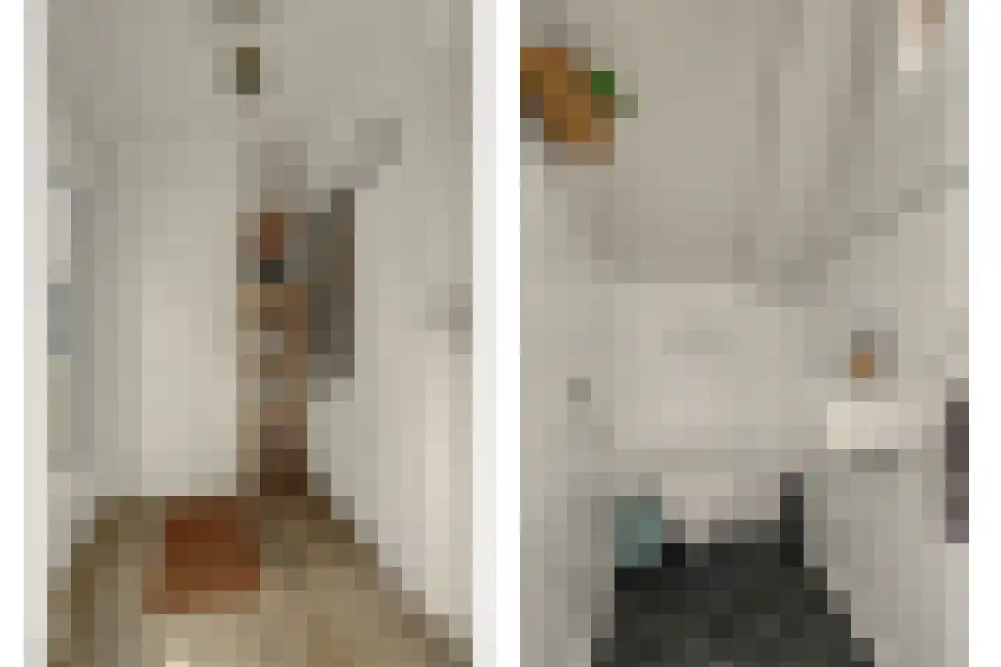 Pieter de Hooghstraat 5 Drunen thumbnail 13