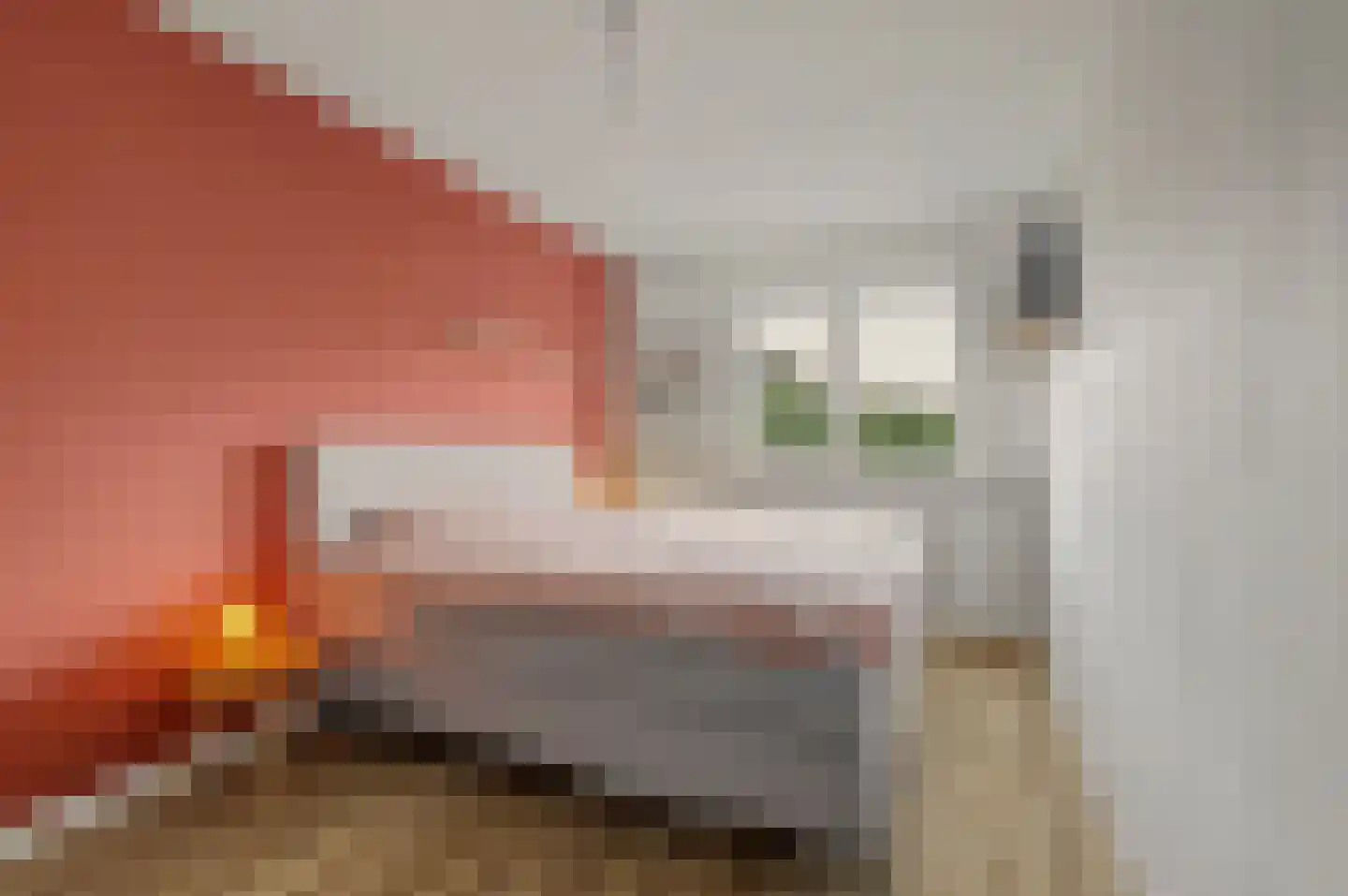 Pieter de Hooghstraat 5 Drunen thumbnail 15