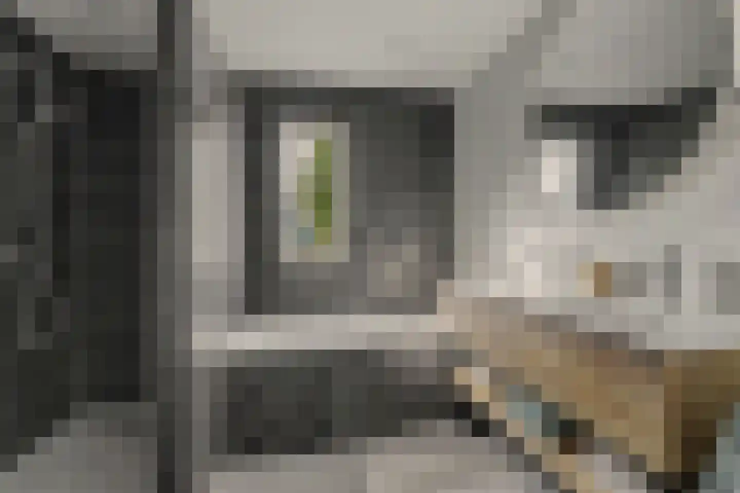 Pieter de Hooghstraat 5 Drunen thumbnail 17