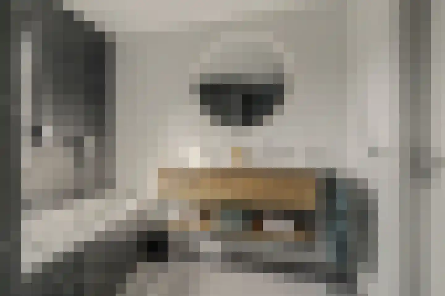 Pieter de Hooghstraat 5 Drunen thumbnail 18