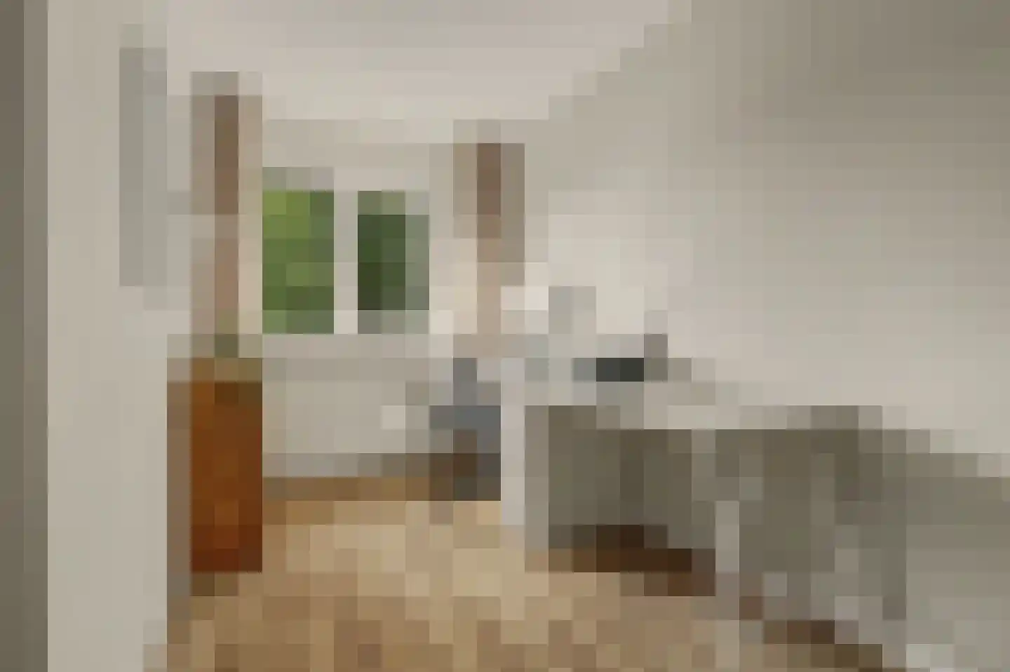 Pieter de Hooghstraat 5 Drunen thumbnail 20