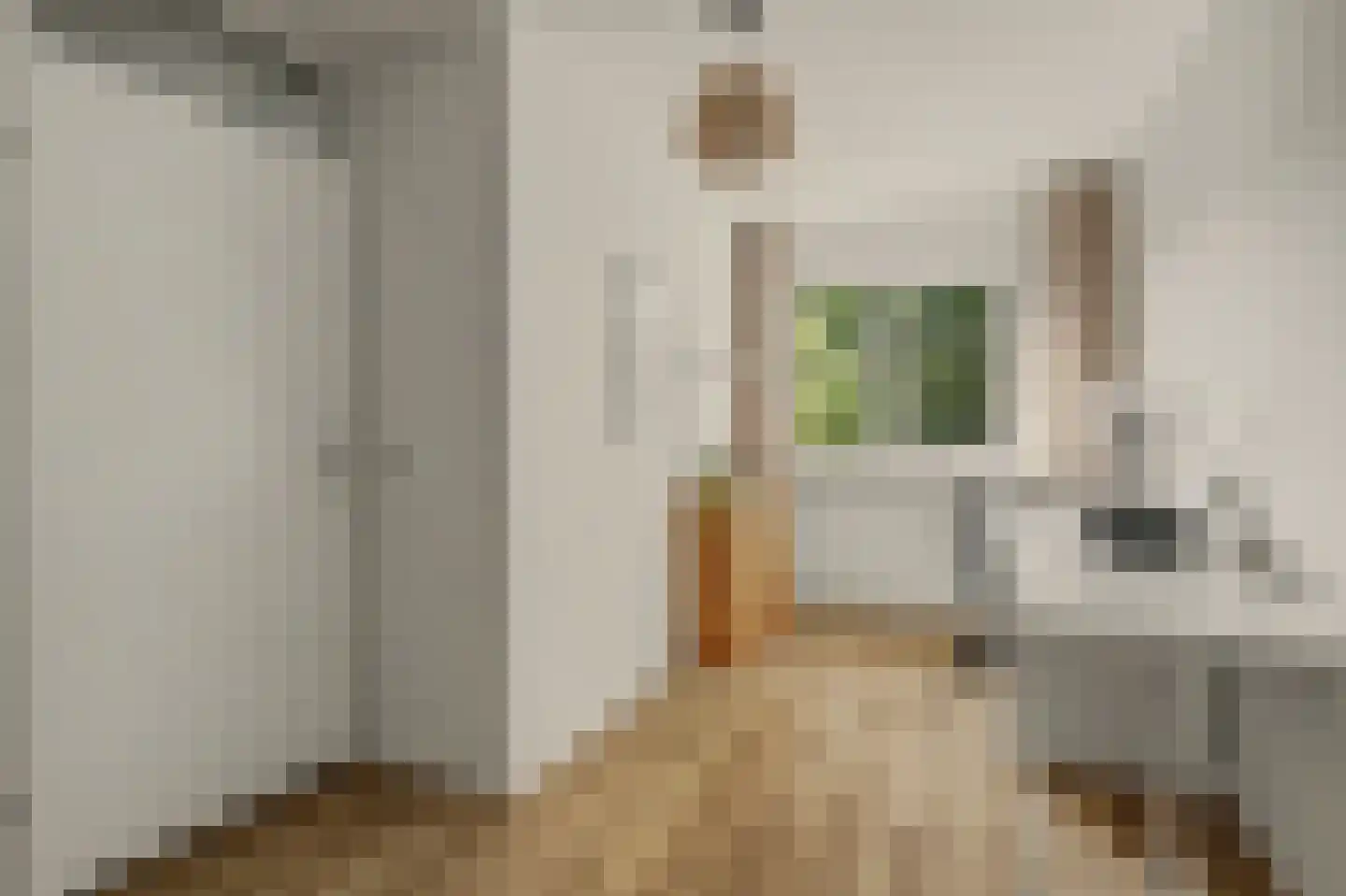 Pieter de Hooghstraat 5 Drunen thumbnail 21
