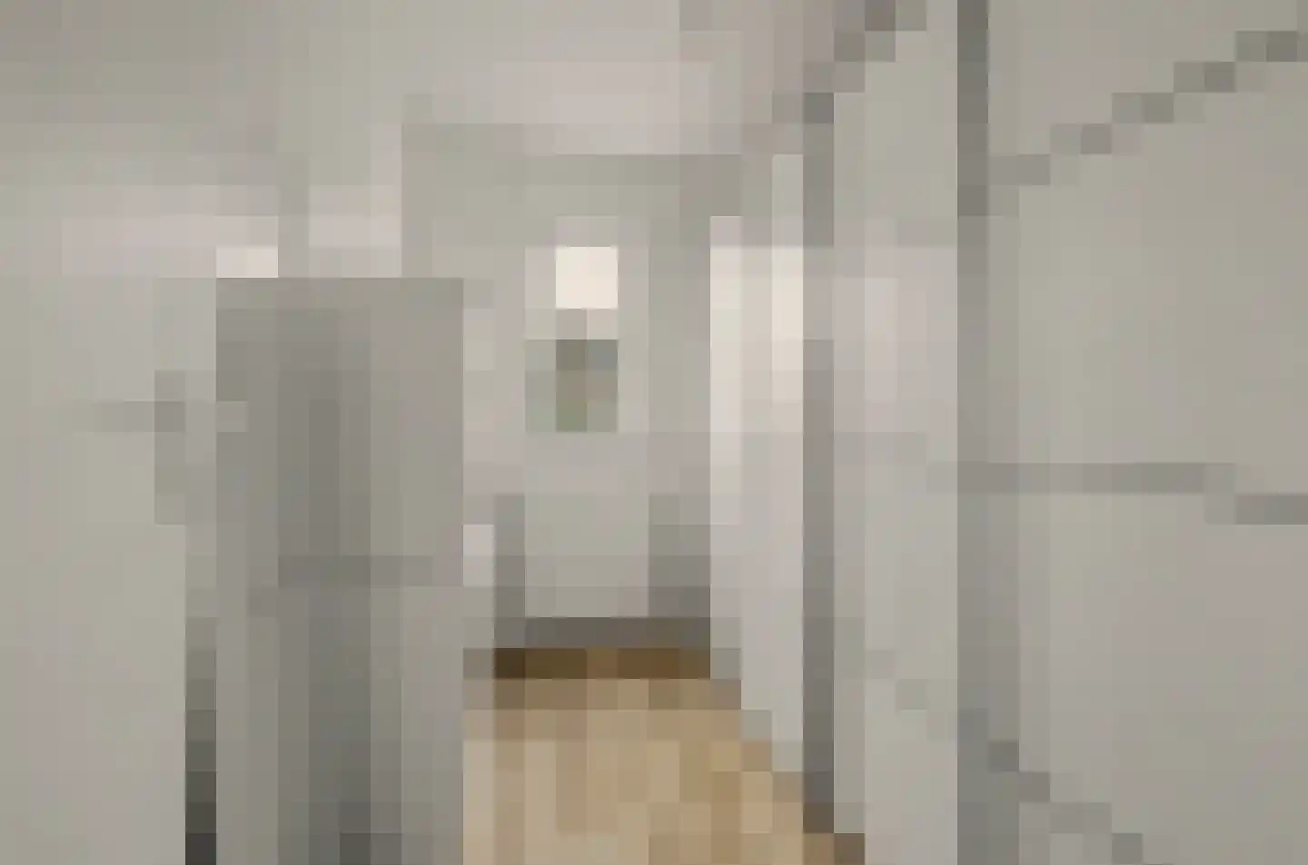 Pieter de Hooghstraat 5 Drunen thumbnail 22