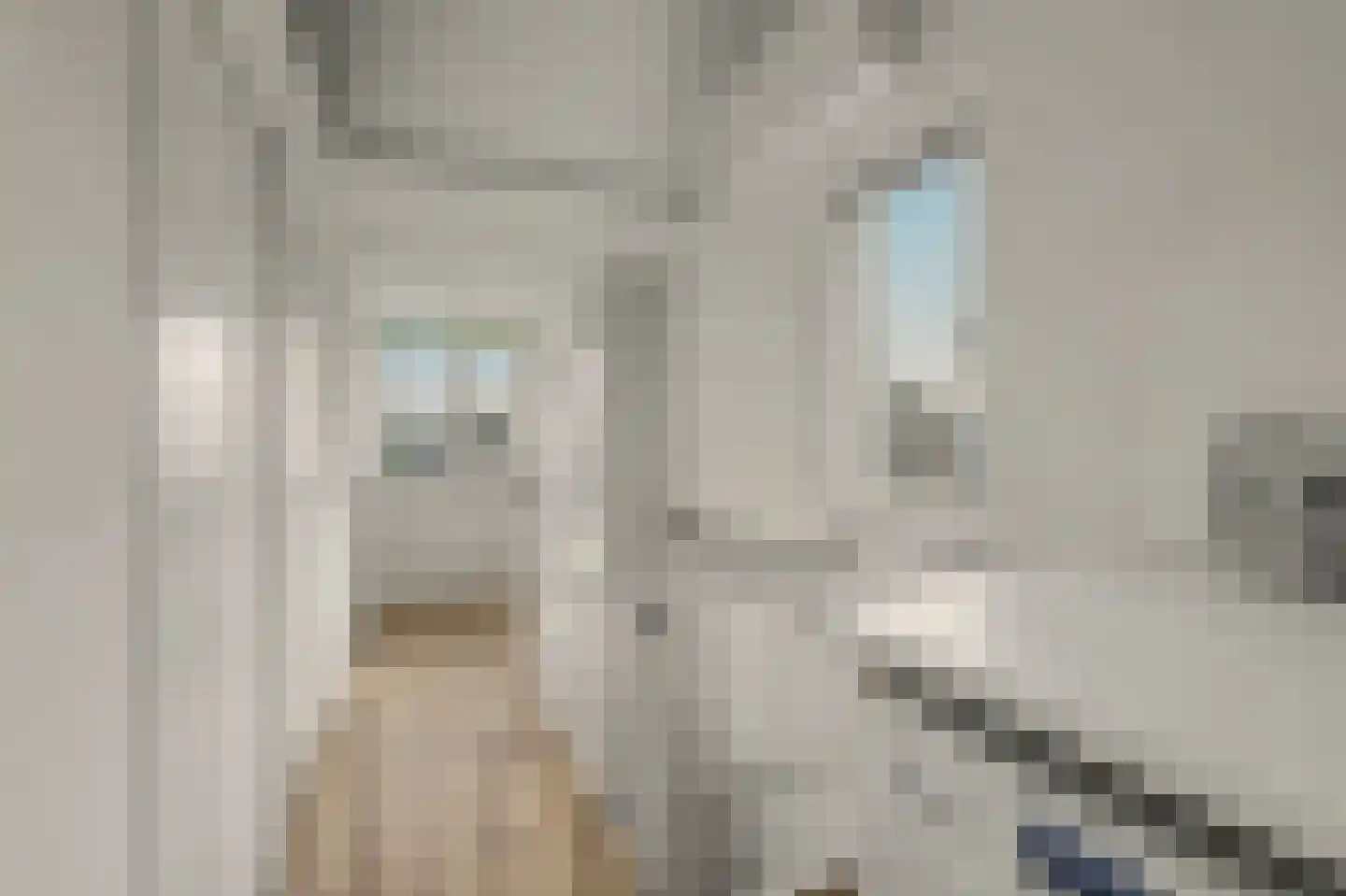 Pieter de Hooghstraat 5 Drunen thumbnail 24