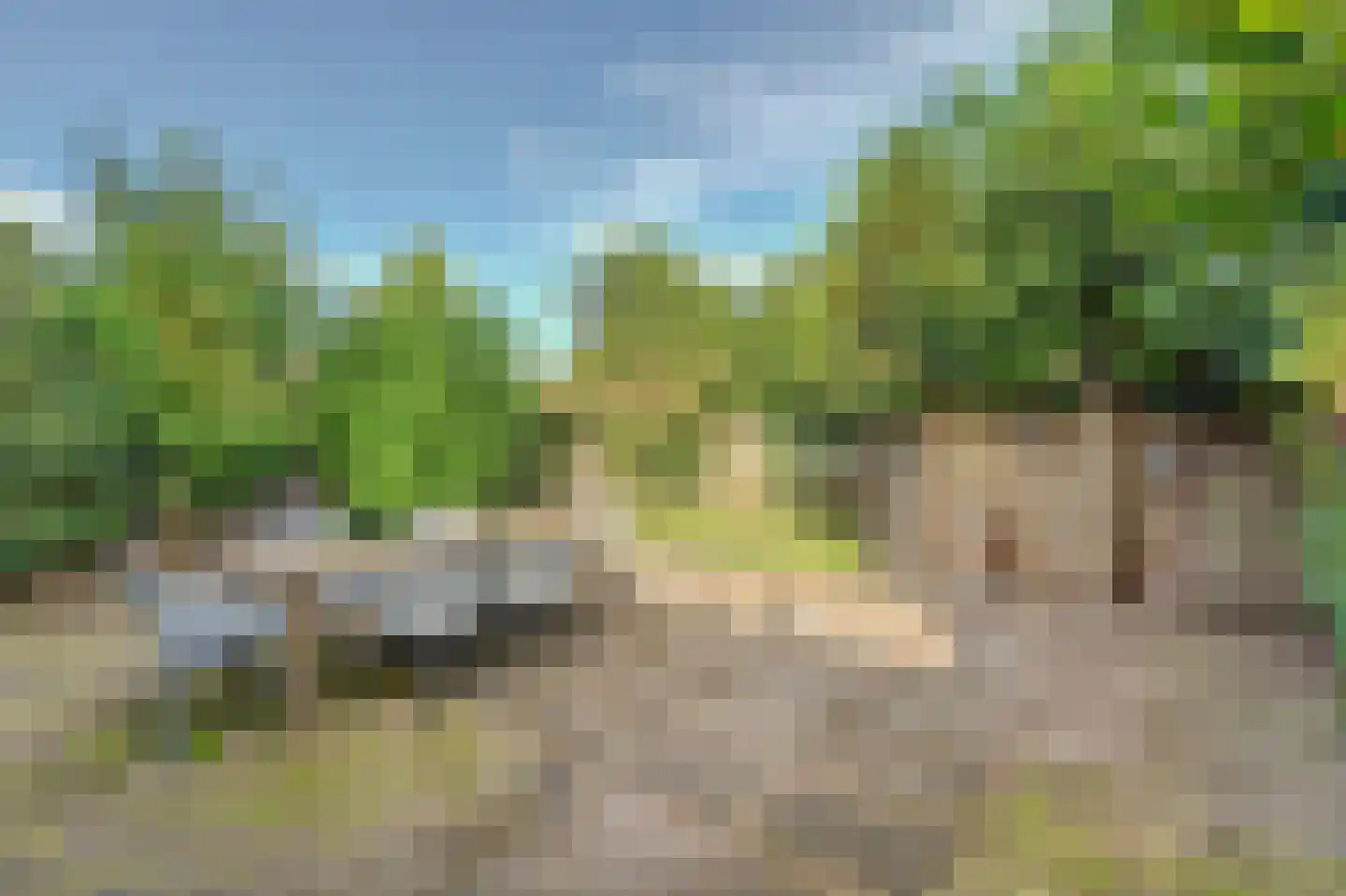 Pieter de Hooghstraat 5 Drunen thumbnail 28