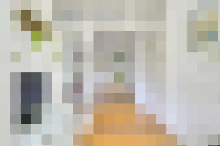 Pieter de Hooghstraat 51 Utrecht thumbnail 11