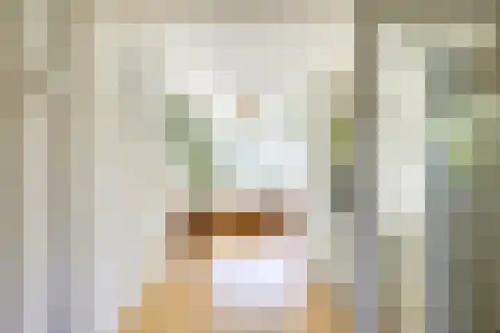 Pieter de Hooghstraat 51 Utrecht thumbnail 14