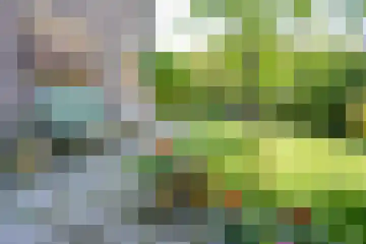 Pieter de Hooghstraat 51 Utrecht thumbnail 18