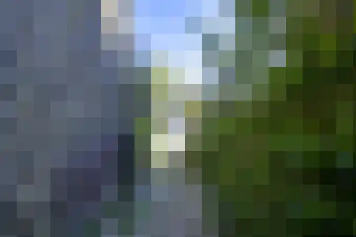 Pieter de Hooghstraat 51 Utrecht thumbnail 24