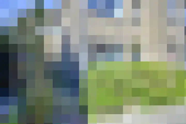 Pieter de Hooghstraat 51 Utrecht thumbnail 25