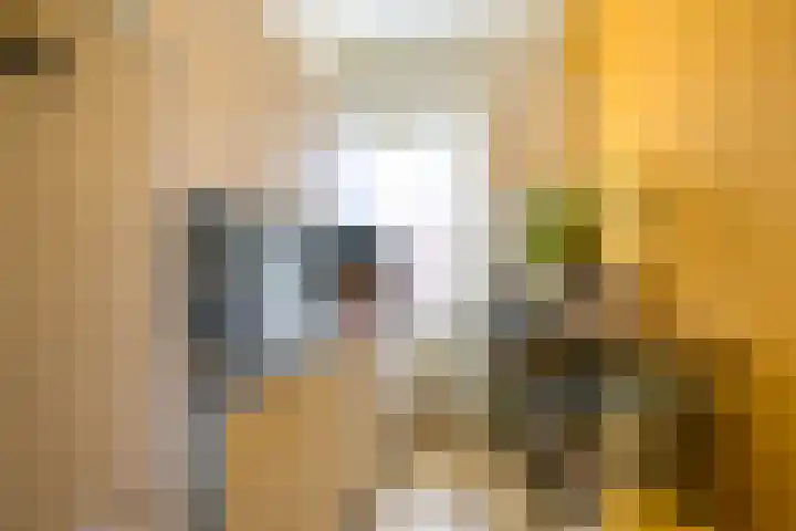 Pieter de Hooghstraat 51 Utrecht thumbnail 31