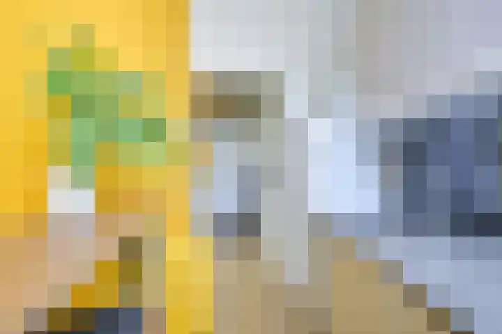 Pieter de Hooghstraat 51 Utrecht thumbnail 33