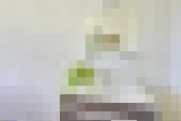 Pieter de Hooghstraat 51 Utrecht thumbnail 35