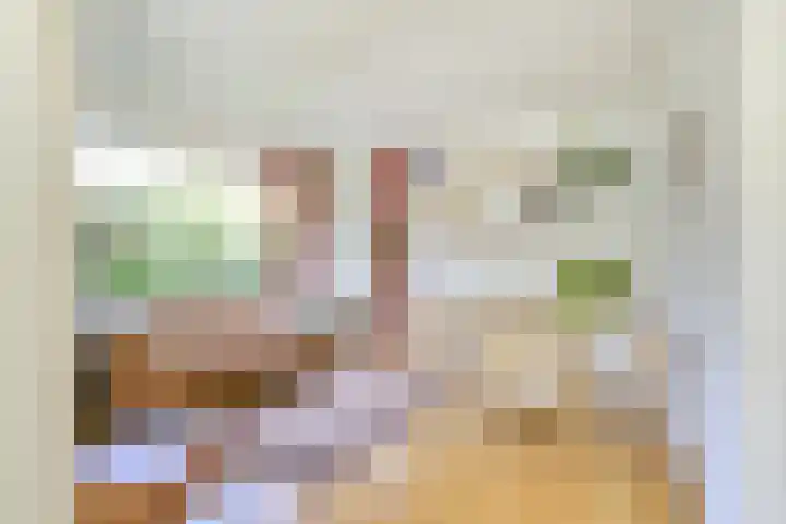 Pieter de Hooghstraat 51 Utrecht thumbnail 4