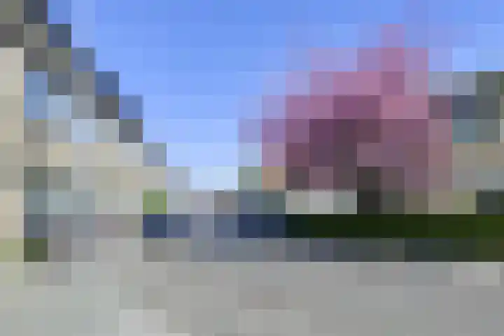 Pieter de Hooghstraat 51 Utrecht thumbnail 40
