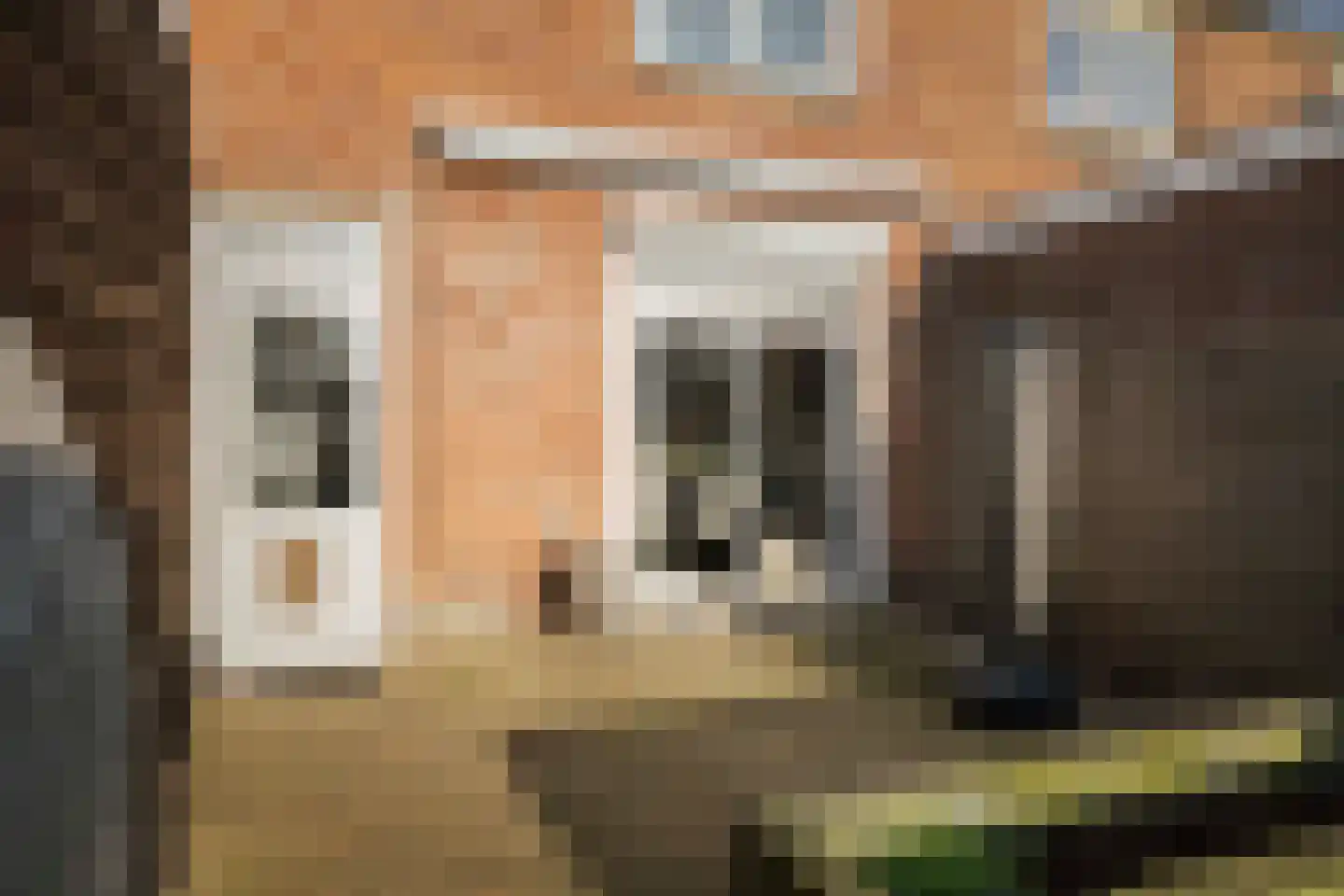 Pieter de Hooghstraat 57 Deventer thumbnail 12