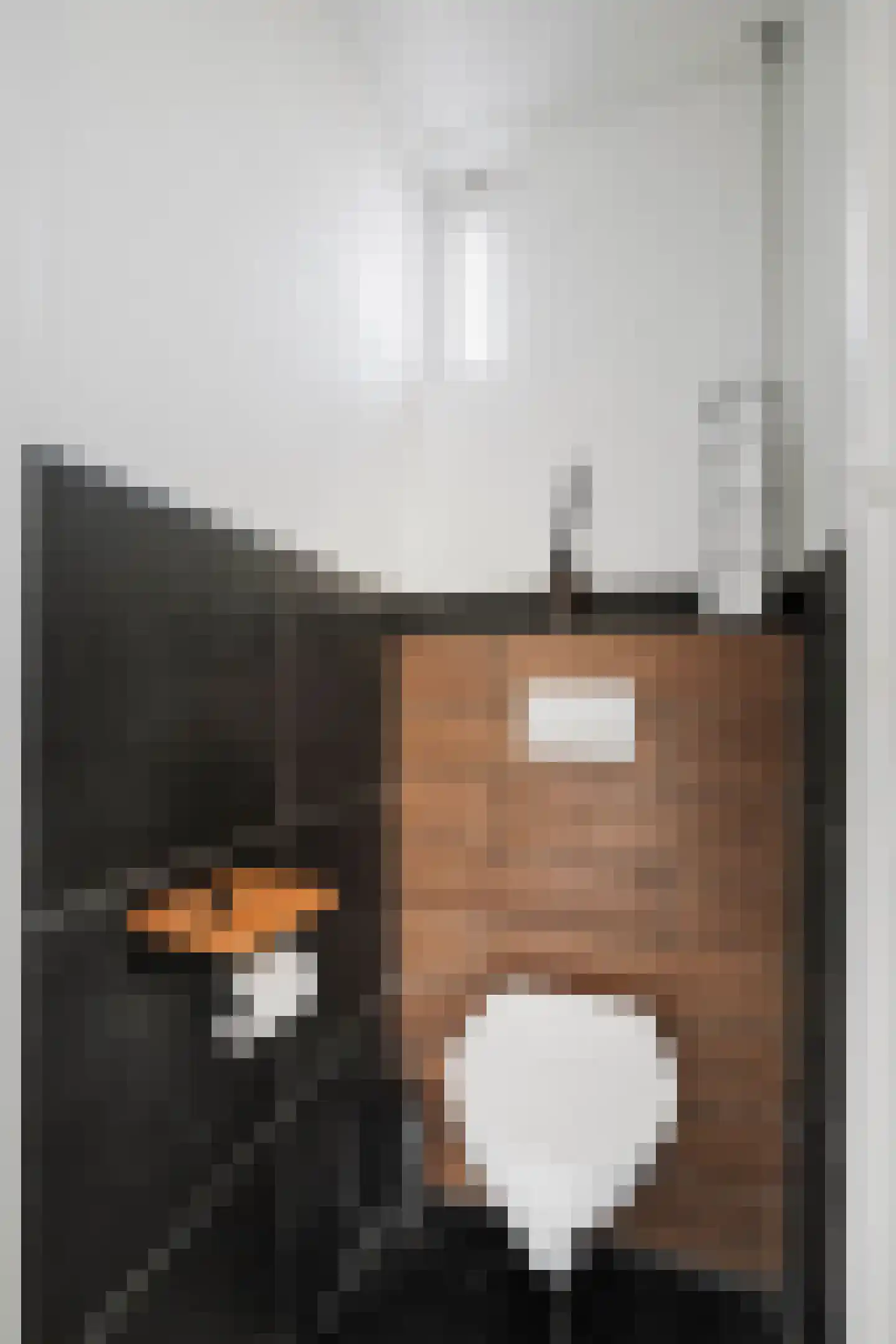 Pieter de Hooghstraat 57 Deventer thumbnail 15