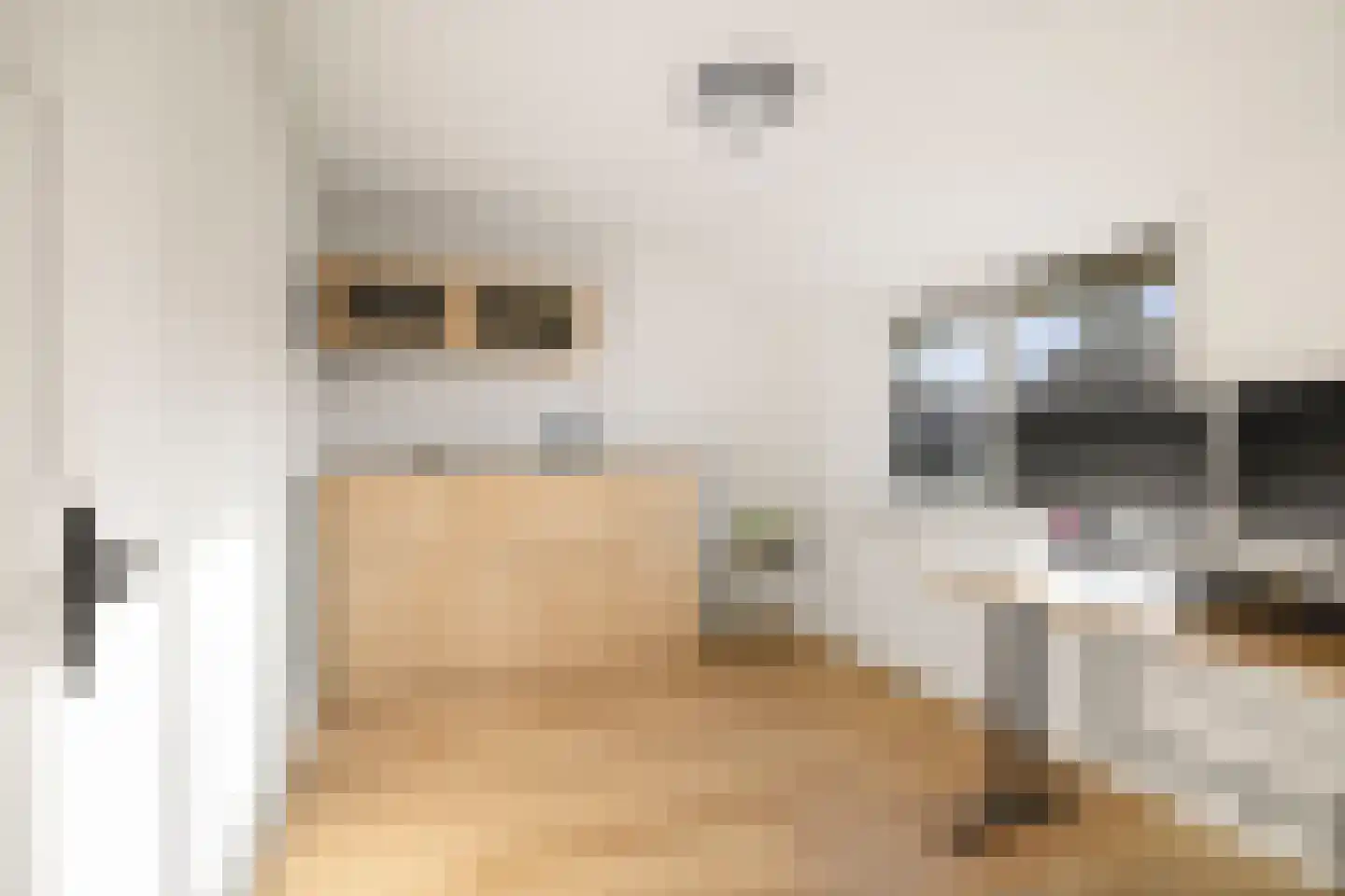 Pieter de Hooghstraat 57 Deventer thumbnail 21