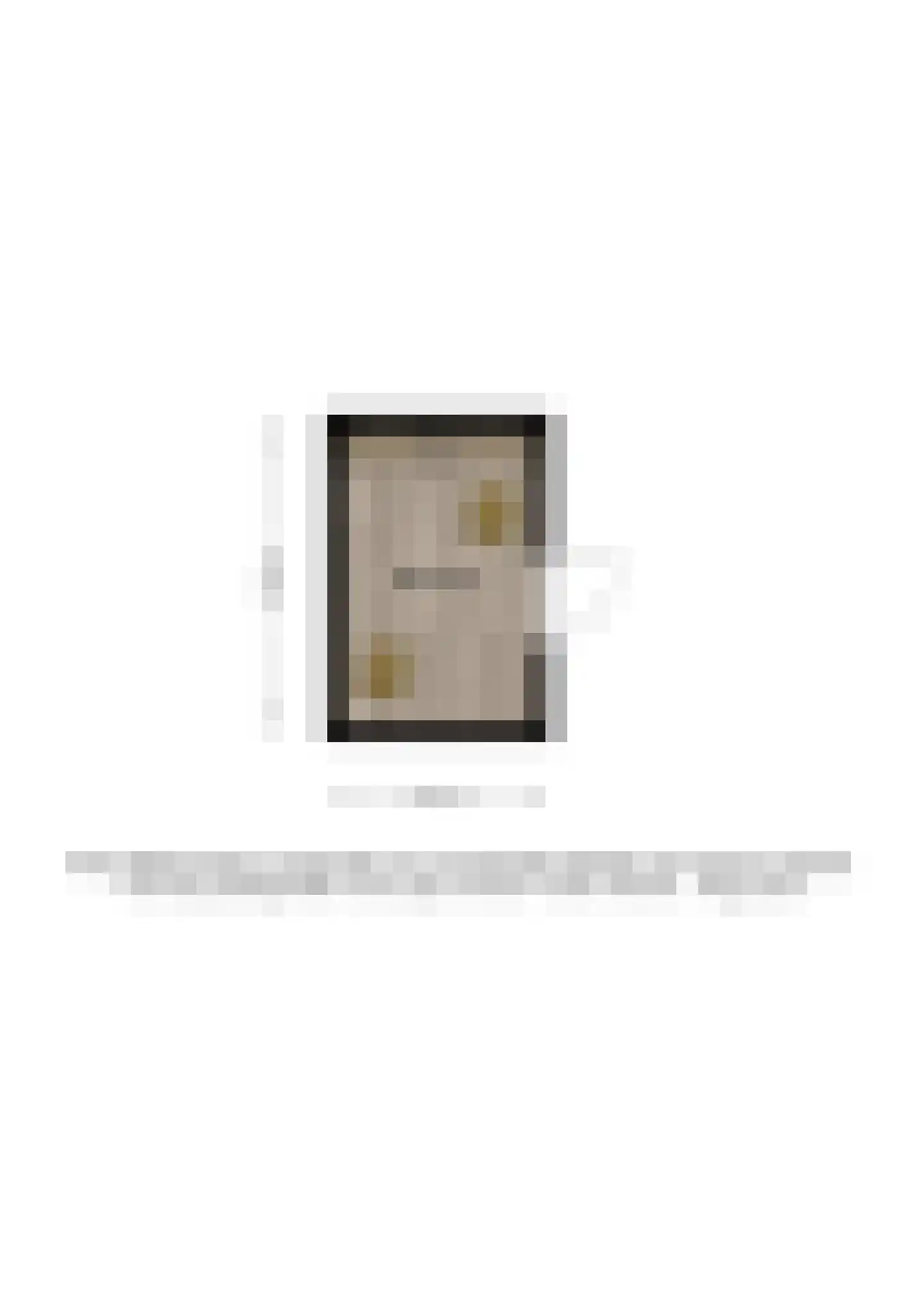 Pieter de Hooghstraat 57 Deventer thumbnail 31