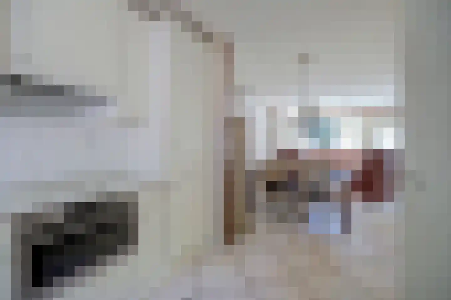 Pieter de Hooghstraat 58 Ede thumbnail 18