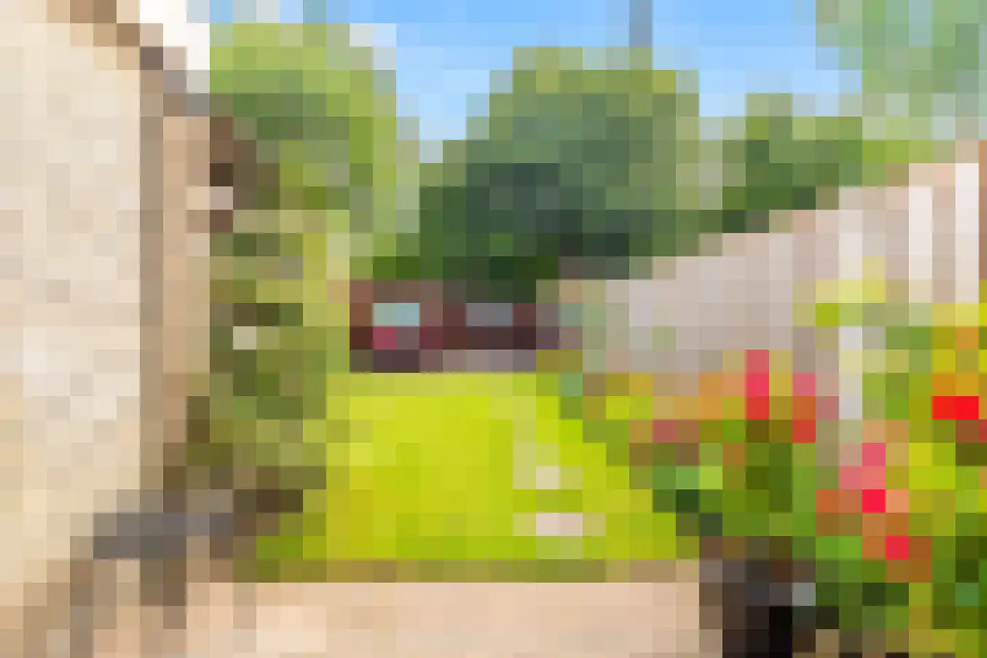 Pieter de Hooghstraat 65 Heerhugowaard thumbnail 33