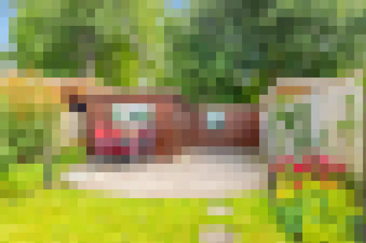 Pieter de Hooghstraat 65 Heerhugowaard thumbnail 5