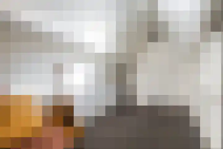 Pieter de Hooghstraat 68 Ede thumbnail 27