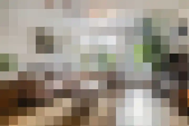 Pieter de Hooghstraat 68 Ede thumbnail 4