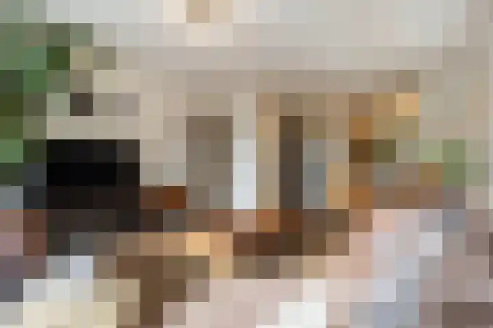 Pieter de Hooghstraat 68 Ede thumbnail 8