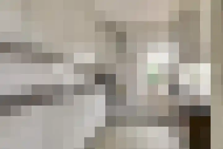 Pieter de Hooghstraat 7 Bergen L thumbnail 12