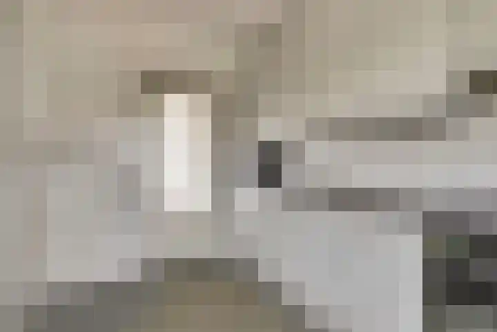 Pieter de Hooghstraat 7 Bergen L thumbnail 13